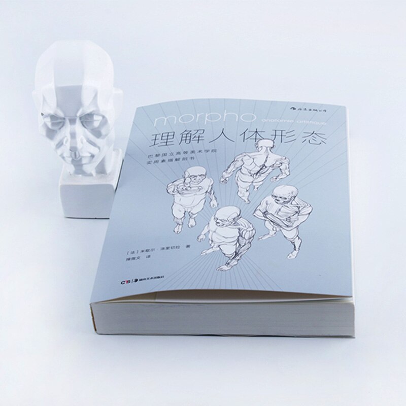 New Understanding Human Form Zero Base Fine Art Beginner Self-study Book Art Painting Sketch Sketch