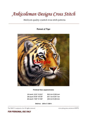 Embroidery Counted Cross Stitch Kits Needlework - Crafts 14 ct Color DIY Arts Handmade Decor - Six Princesses