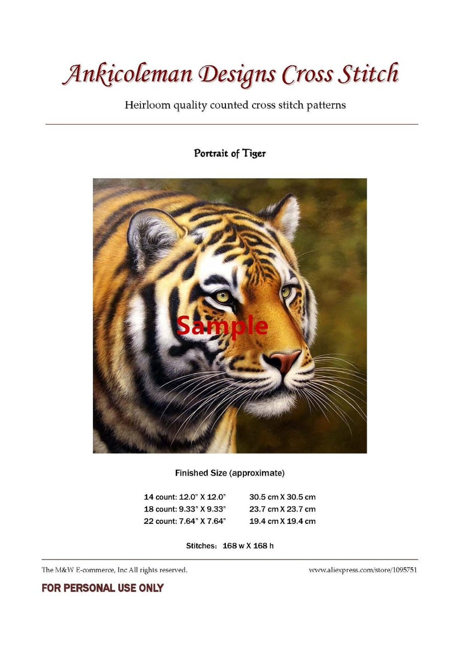 Embroidery Counted Cross Stitch Kits Needlework - Crafts 14 ct Color DIY Arts Handmade Decor - Six Princesses