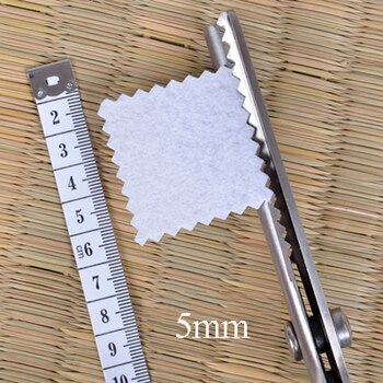 Chainho,Tailor Scissors with Round &amp; TriangleTooth,Sewing Scissor with Zigzag Shape for DIY Sewing,Shears for Fabric or Leather